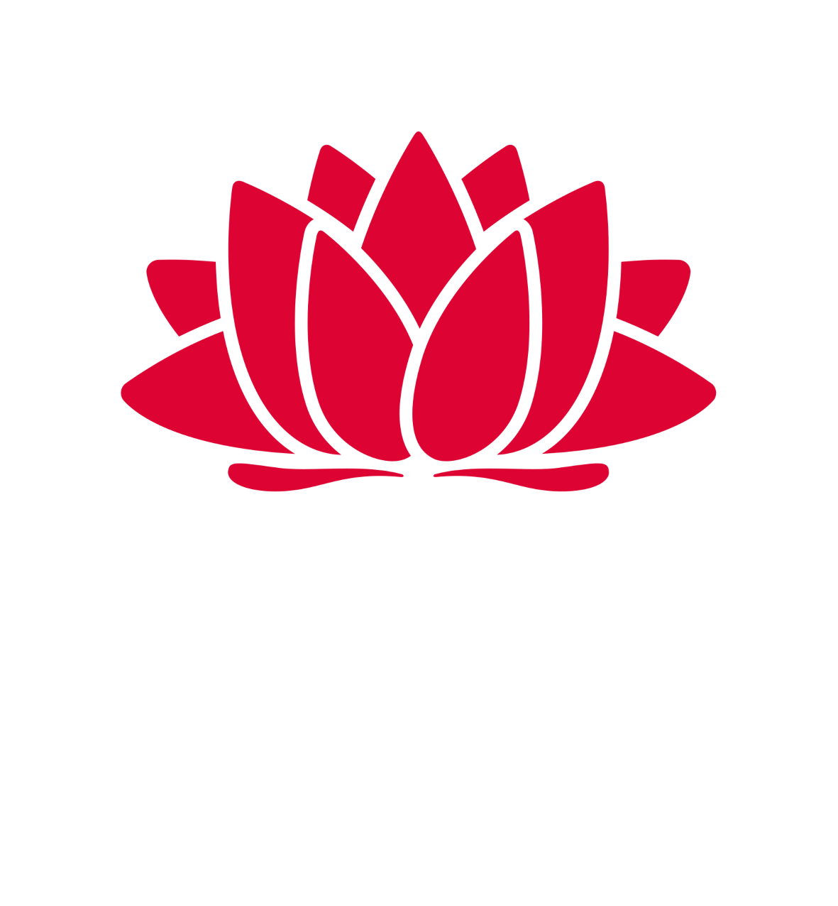 NSW Govt Logo